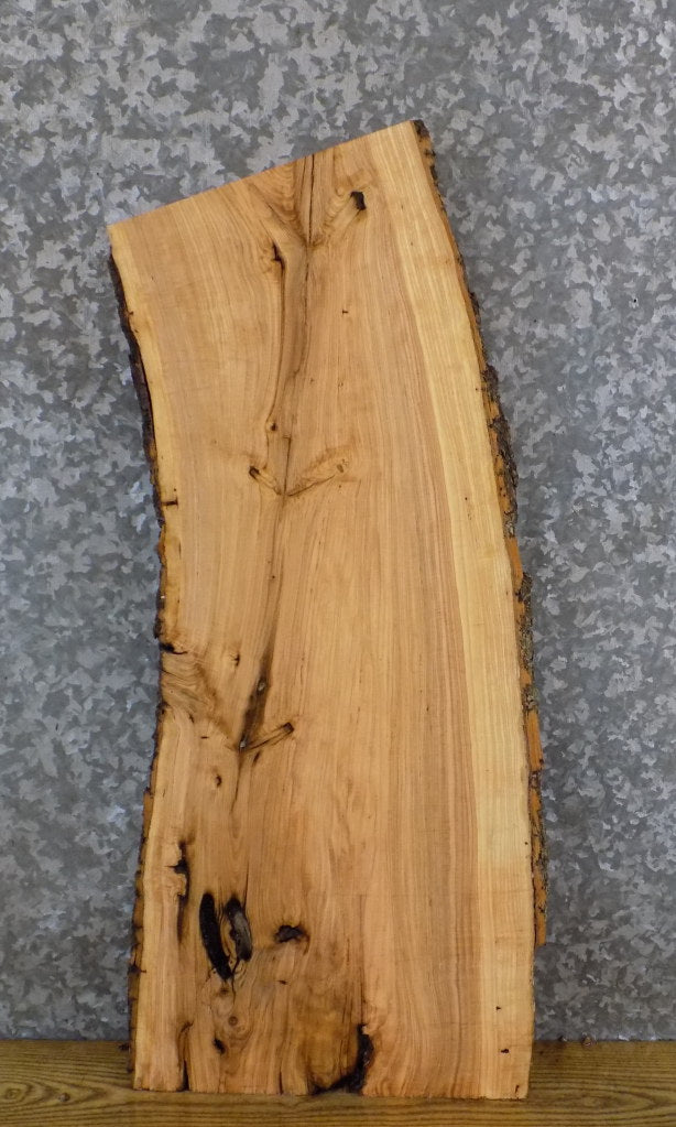 Salvaged Live Edge Bark Ash Accent/End/Entry Table Top Slab 7083