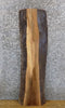 Thumbnail for Live Edge Salvaged Black Walnut Floating Vanity/Table Top Slab 7097