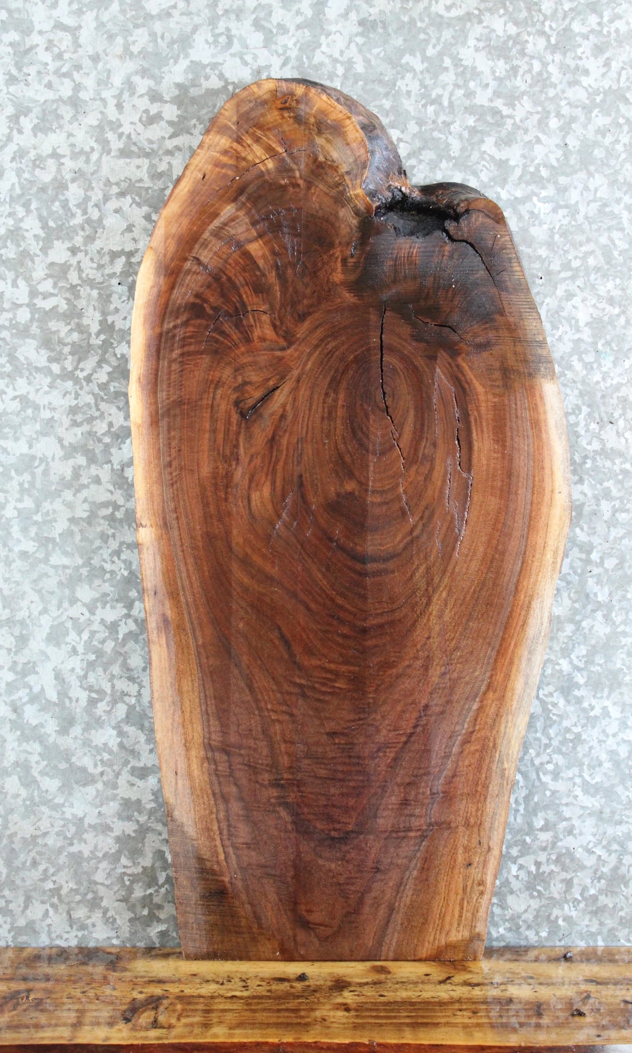 Live Edge Black Walnut Coffee/Sofa Table Top Slab 710