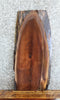 Thumbnail for Live Edge Black Walnut Side Table/Taxidermy Mount Slab 715