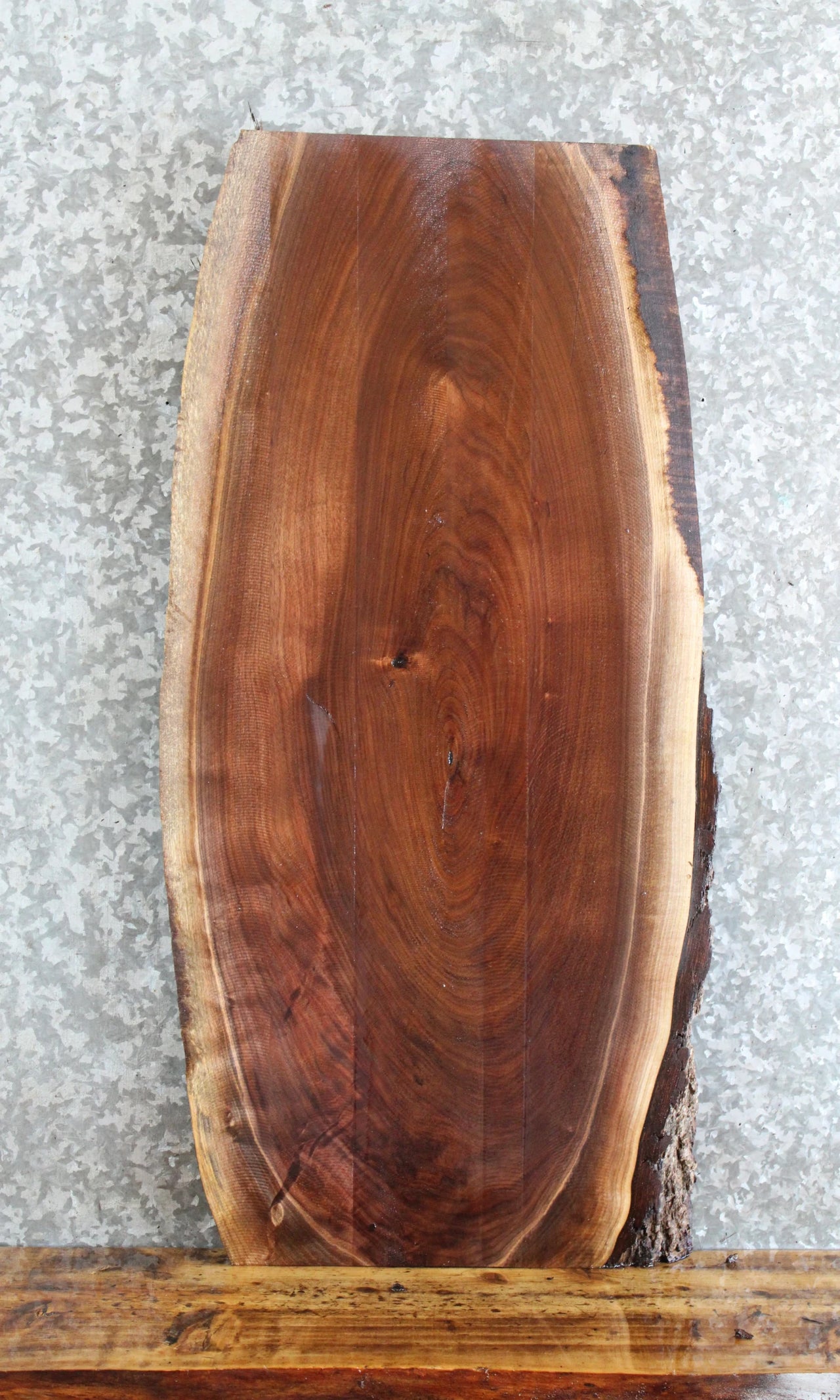 Live Edge Black Walnut Side Table/Taxidermy Mount Slab 715