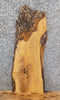 Thumbnail for Live Edge Reclaimed Ash End/Accent Table Top Slab 729