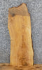 Thumbnail for Live Edge Reclaimed Ash End/Accent Table Top Slab 729