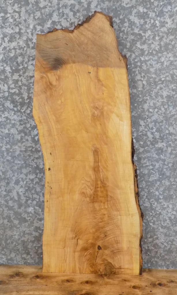 Live Edge Reclaimed Ash End/Accent Table Top Slab 729
