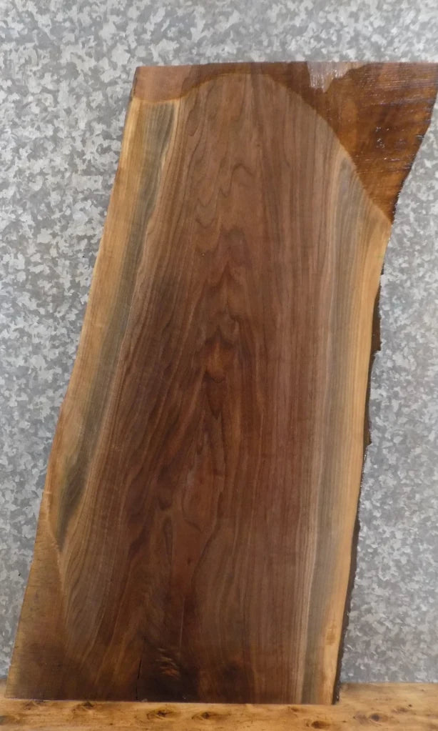Live Edge Black Walnut Coffee/Accent/End Table Top Slab 730
