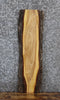 Thumbnail for Live Edge Ash Taxidermy Mount/Side Table Slab 731