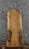 Thumbnail for Ash Live Edge Wood Slab 731