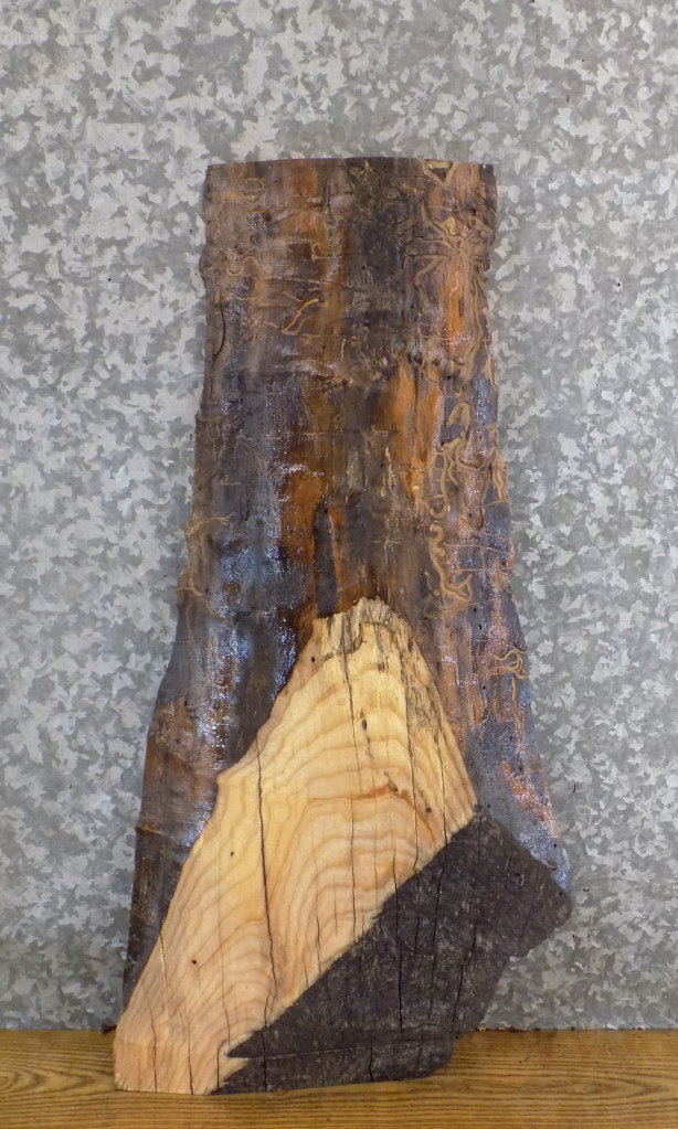 Salvaged Live Edge Ash Accent/End/Entry Table Top Slab 732