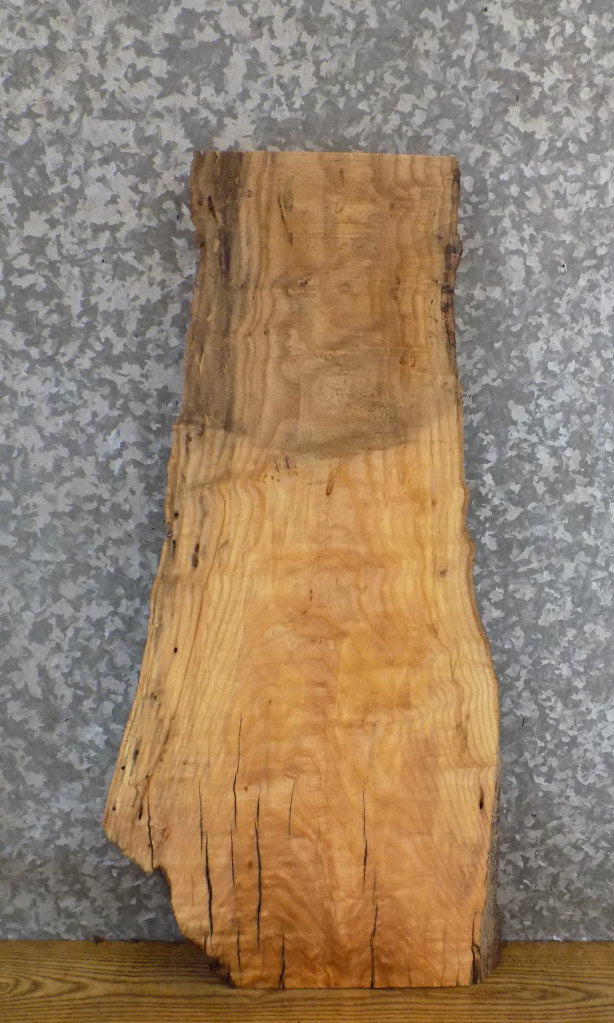 Salvaged Live Edge Ash Accent/End/Entry Table Top Slab 732