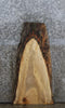 Thumbnail for Live Edge Maple Cocktail Table Top/Taxidermy Mount 733