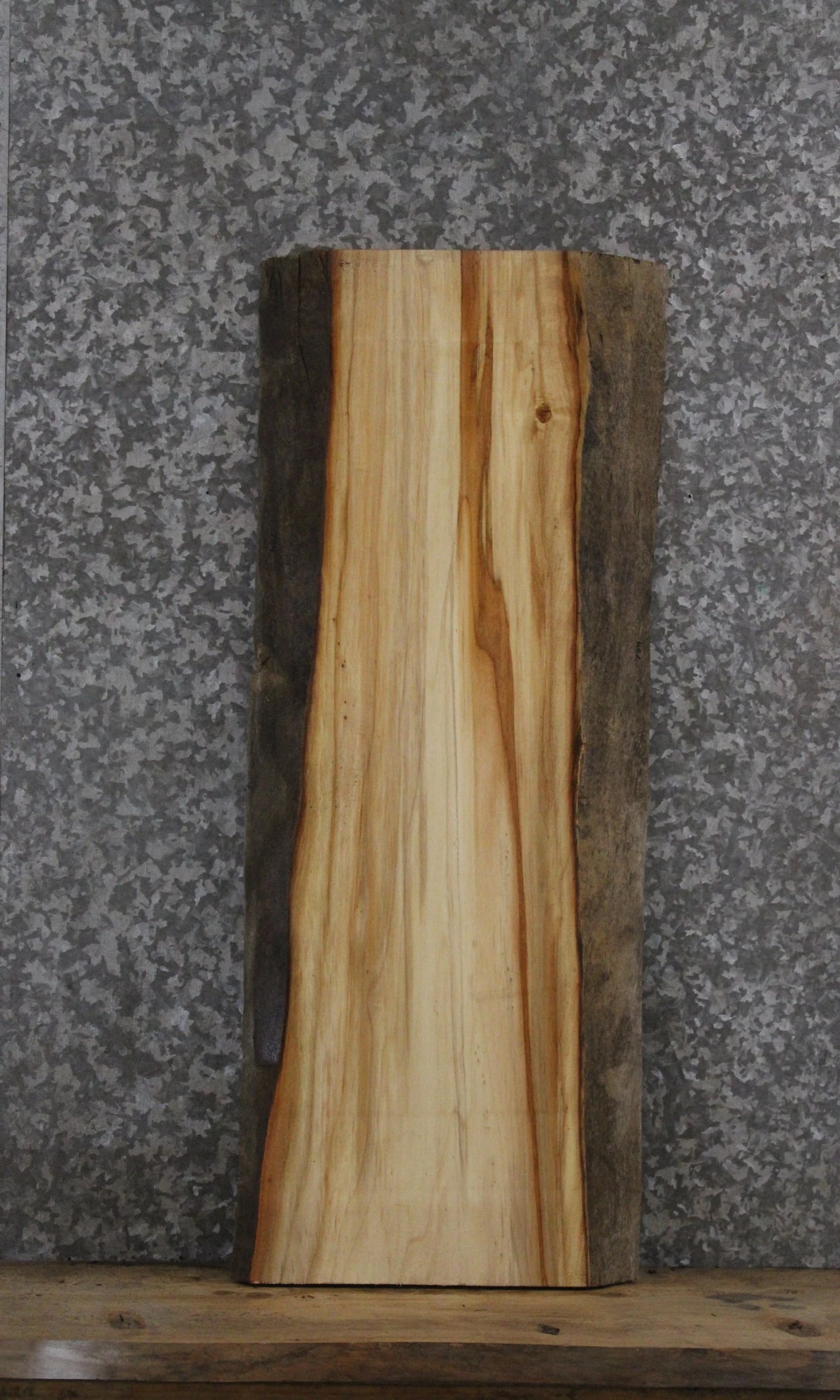 Boxelder Live Edge Charcuterie/Taxidermy/Bench Slab 734
