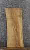 Thumbnail for Ash Live Edge End Table/Shelf Slab 736