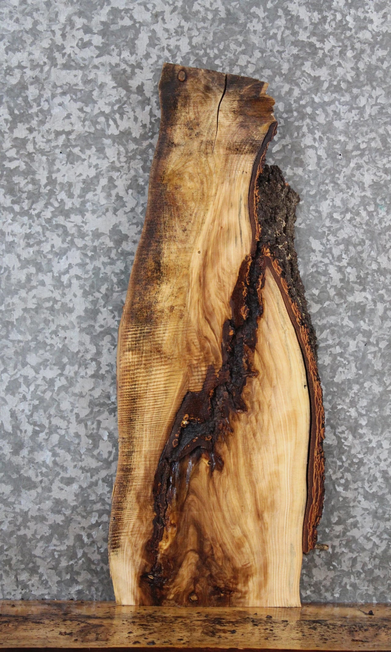 Live Edge Maple Taxidermy Mount/Side Table Top Slab 738