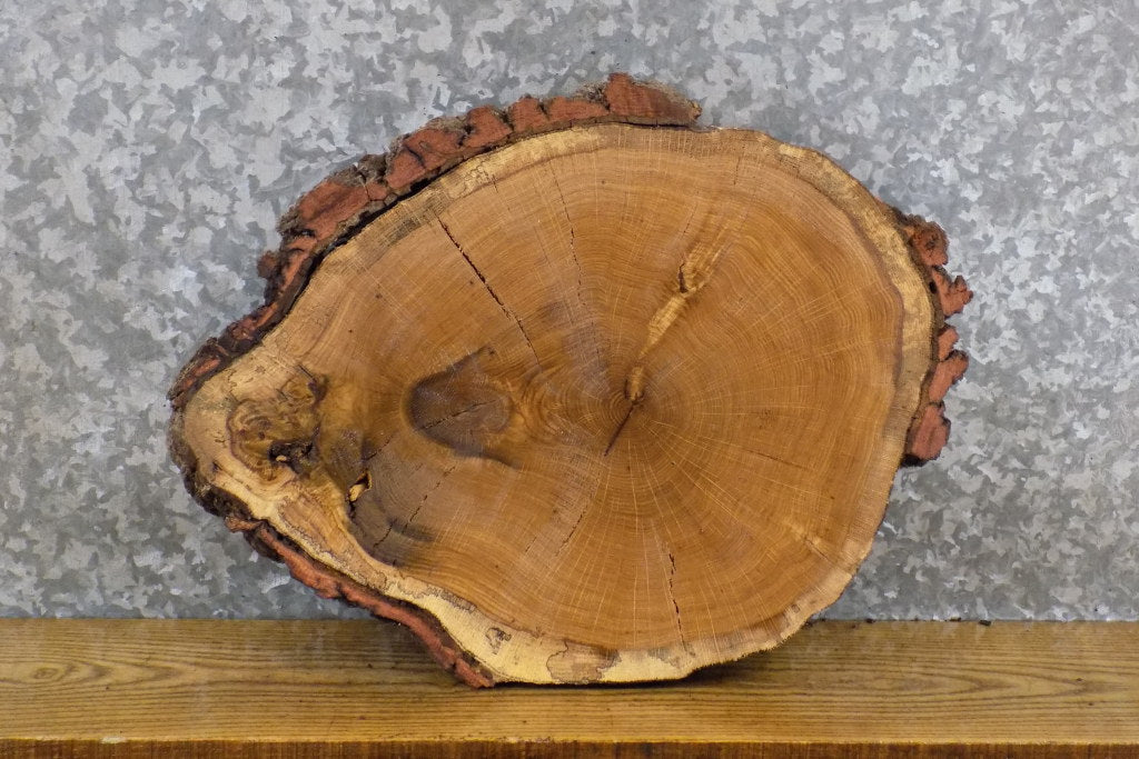 Round Cut Salvaged Live Edge White Oak DIY Charcuterie Board 7391