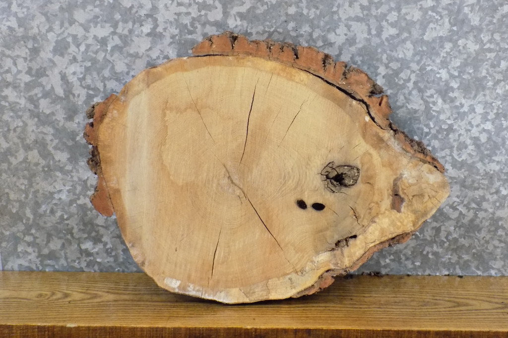 Round Cut Salvaged Live Edge White Oak DIY Charcuterie Board 7391