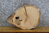 Thumbnail for White Oak Round Cut Live Edge Salvaged DIY Charcuterie Board 7394