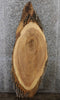 Thumbnail for Live Edge Reclaimed Ash End/Accent/Coffee Table Top Slab 73