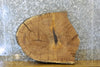 Thumbnail for Natural Edge Oval Cut White Oak End Table Top CLOSEOUT 7417