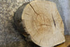 Thumbnail for Natural Edge Oval Cut White Oak End Table Top CLOSEOUT 7417