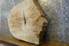 Thumbnail for Natural Edge Oval Cut White Oak End Table Top CLOSEOUT 7417