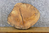 Thumbnail for Natural Edge Reclaimed Round Cut Ash DIY Charcuterie Board 7420