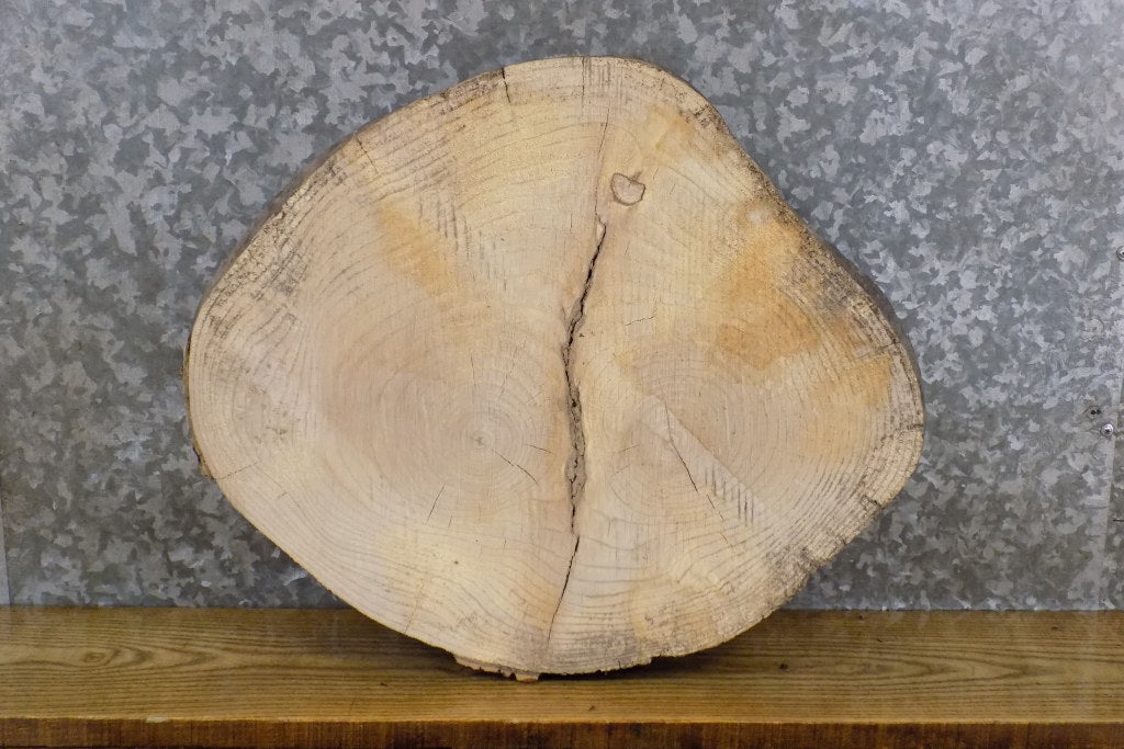 Natural Edge Reclaimed Round Cut Ash DIY Charcuterie Board 7420
