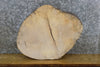 Thumbnail for Live Edge Ash Rustic Round Cut DIY Charcuterie Board/Slab 7421