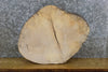 Thumbnail for Live Edge Ash Rustic Round Cut DIY Charcuterie Board/Slab 7421