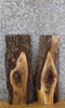 Thumbnail for 2- Live Edge Black Walnut Rustic DIY Charcuterie Boards/Slabs 7474