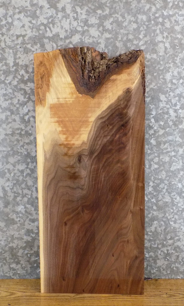 Black Walnut Kiln Dried Rustic Lumber Board/End Table Top Slab 7485