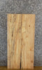 Thumbnail for 2- Rustic Kiln Dried Maple Lumber Boards/Wall Shelf Slabs 7487
