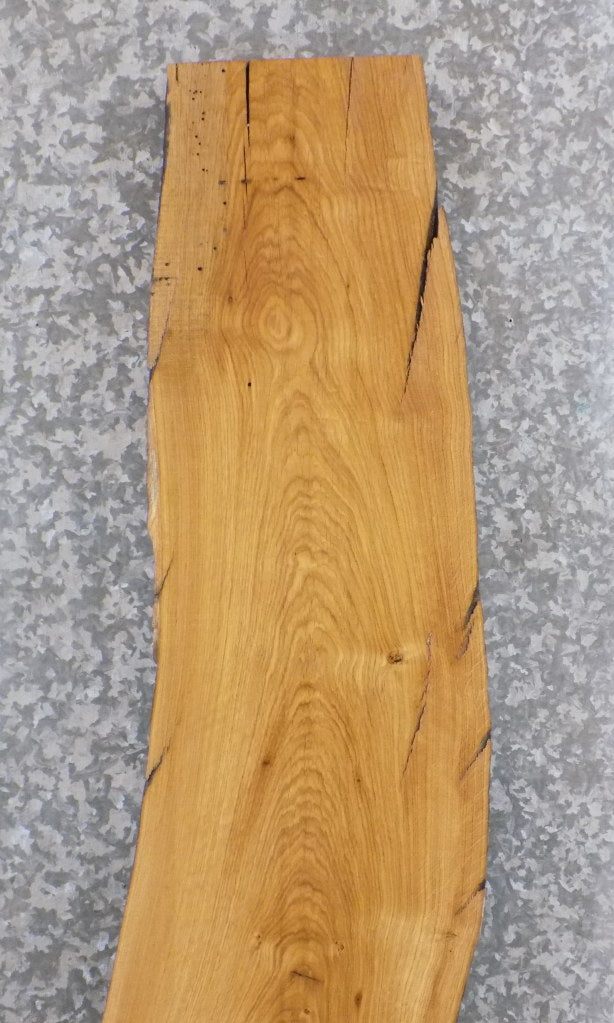 Live Edge White Oak Rustic Coffee/Sofa Table Top Slab CLOSEOUT 74