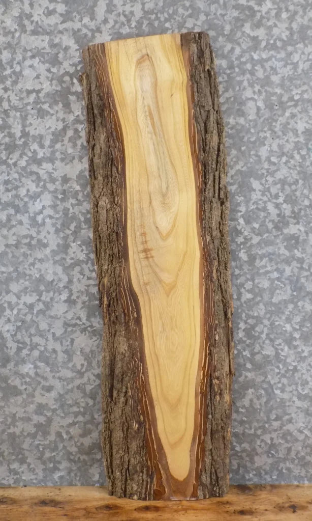 Live Edge Ash Salvaged Mantle/Bar Top Slab 750