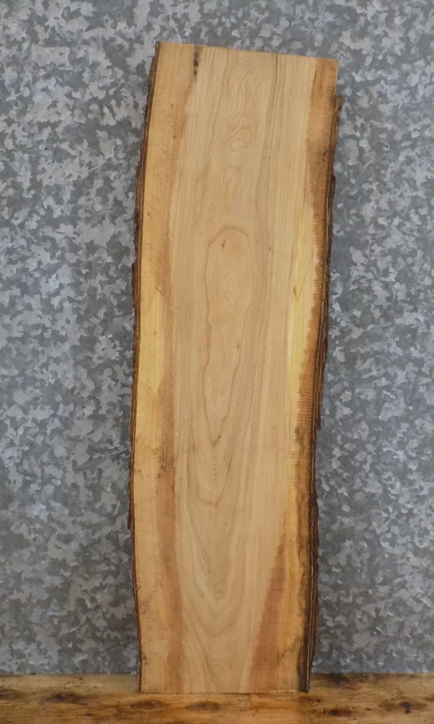 Live Edge Ash Salvaged Mantle/Bar Top Slab 750