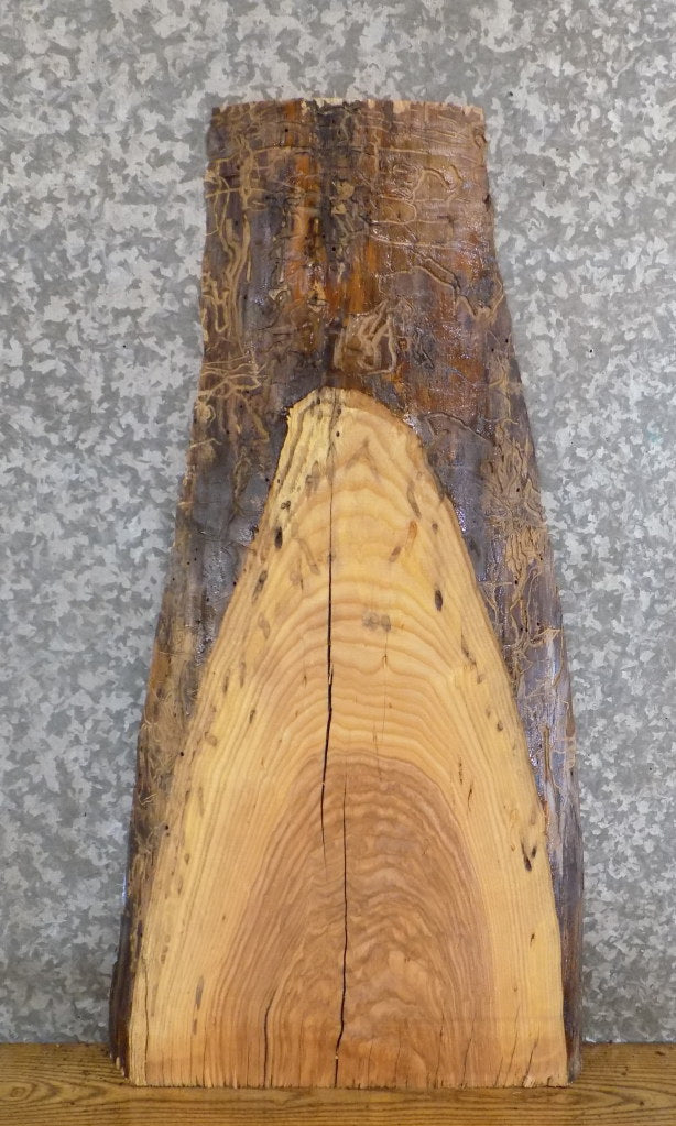 Reclaimed Live Edge Ash Sofa/Accent Table Top Wood Slab 751