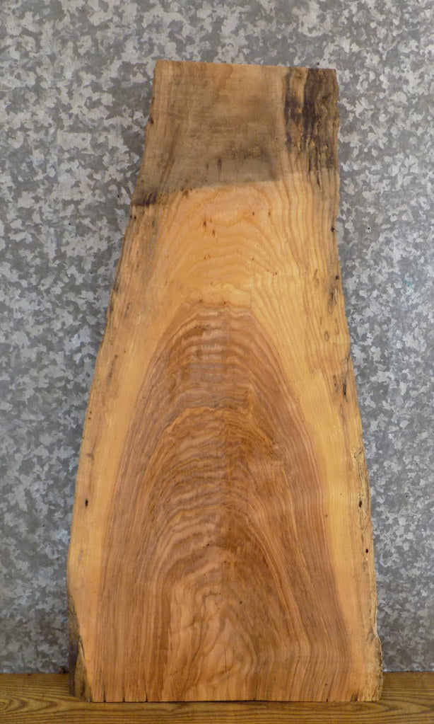 Reclaimed Live Edge Ash Sofa/Accent Table Top Wood Slab 751