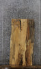 Thumbnail for Live Edge Spalted Maple Side Table Top 752