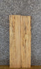 Thumbnail for 2- Maple Kiln Dried Rustic Wall Shelf Slabs/Lumber Boards 7539