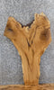 Thumbnail for Live Edge Reclaimed White Oak Wall Art/Accent Table Top Slab 755
