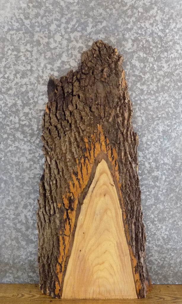 Ash Thick Cut Natural Edge Bark Sofa/Side Table Top Slab 756