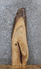 Thumbnail for Elm Live Edge Charcuterie Slab 757