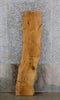 Thumbnail for Live Edge White Oak Sofa/Coffee Table Top Slab CLOSEOUT 75