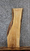 Thumbnail for Natural Edge Ash Taxidermy Mount Slab, Live Edge Wood 761