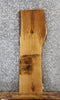 Thumbnail for Live Edge White Oak Taxidermy Mount/Side Table Slab 761