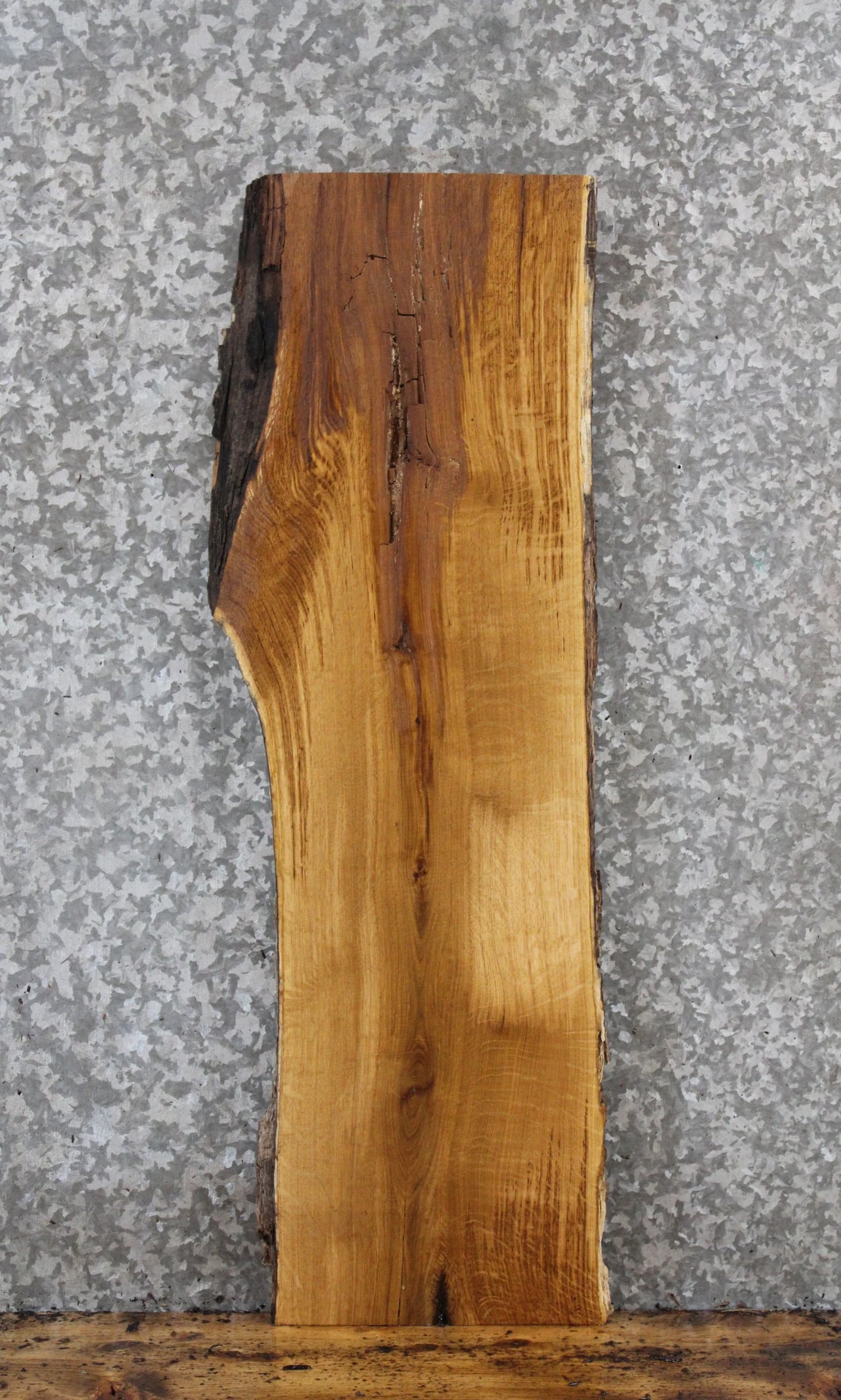 Live Edge White Oak Taxidermy Mount/Side Table Slab 761