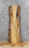 Thumbnail for Live Edge Salvaged Hackberry Wall Shelf/Mantle Slab 766