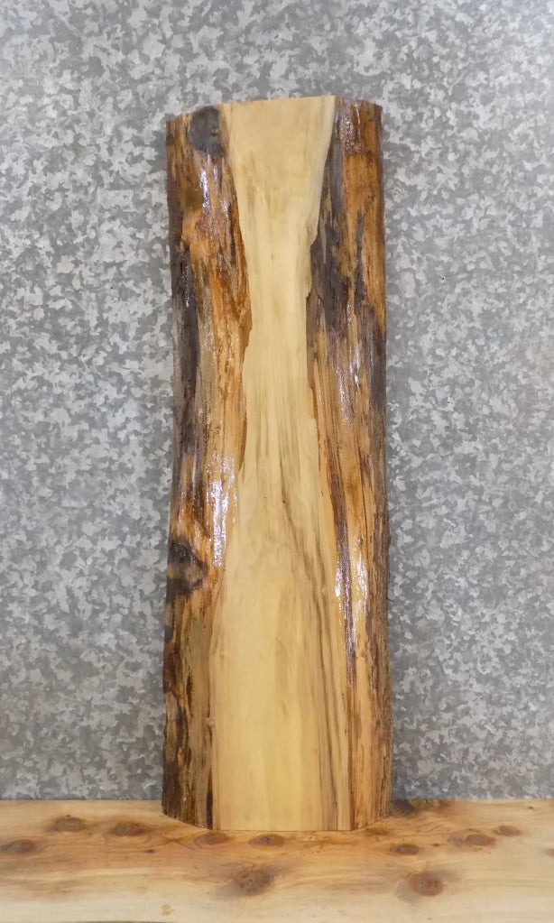 Live Edge Salvaged Hackberry Wall Shelf/Mantle Slab 766