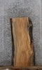 Thumbnail for Live Edge Maple Side Table Top/Wall Shelf 766