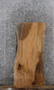 Thumbnail for Live Edge Maple Side Table Top/Wall Shelf 766