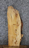 Thumbnail for Live Edge Ash Taxidermy Mount/Side Table Slab 766